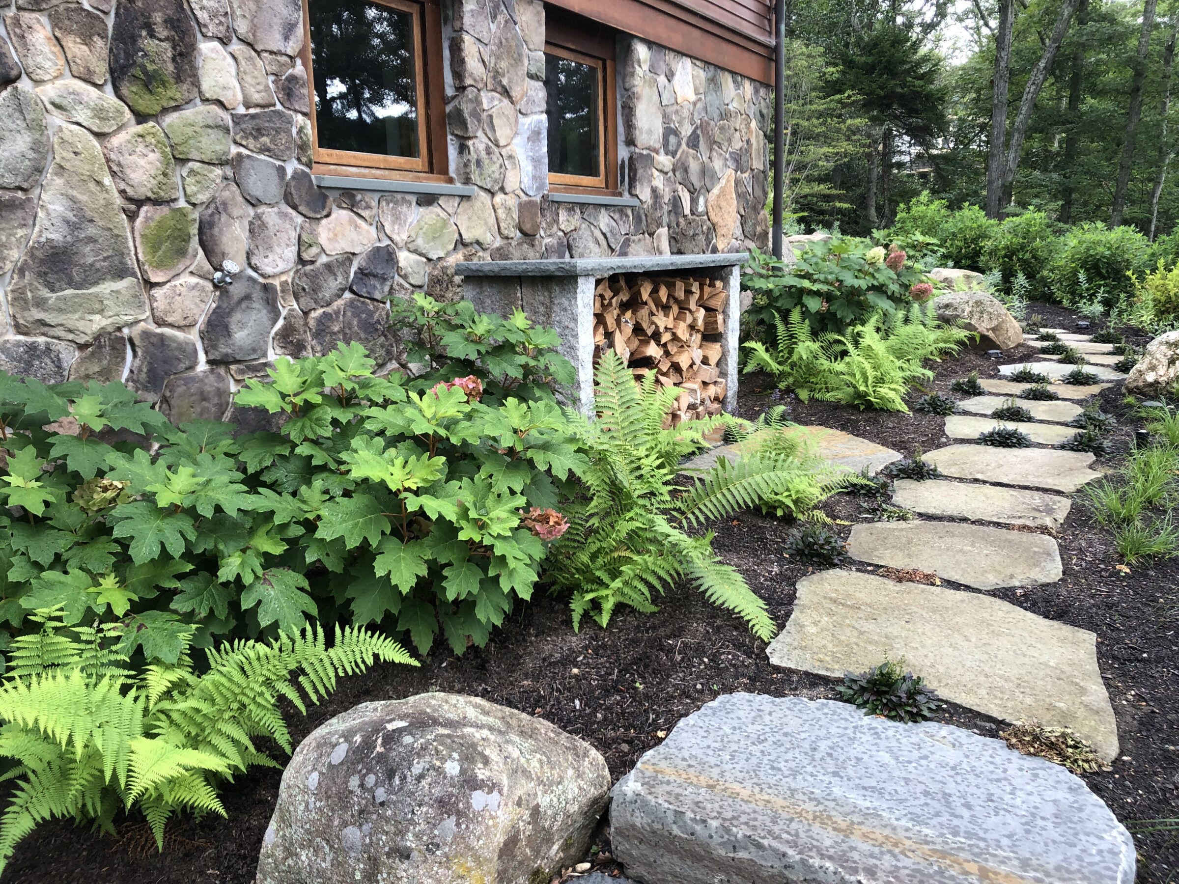 This image shows a stone pathway meandering through a lush garden with ferns beside a stone-clad building with stacked firewood, under a window.
