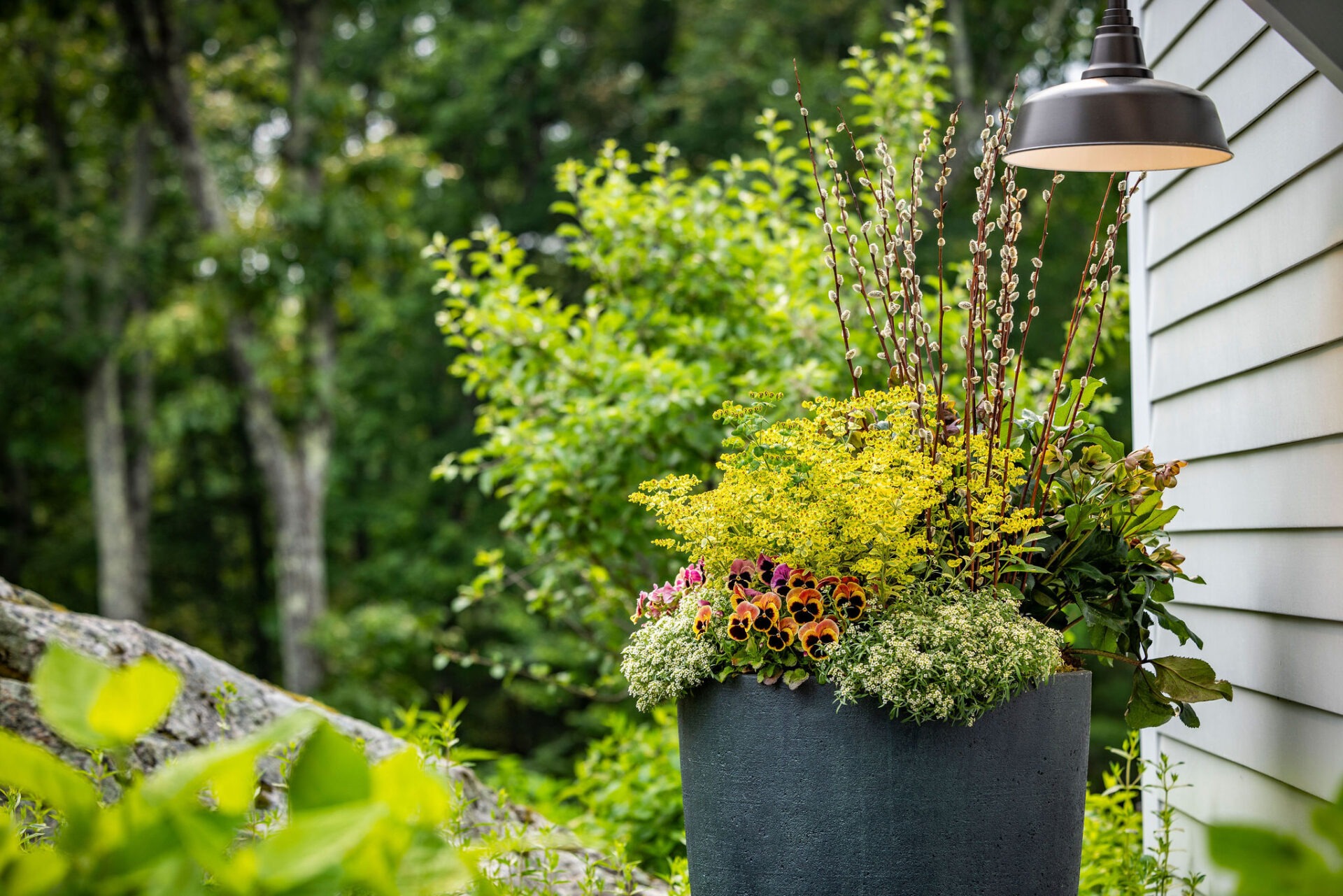A diverse arrangement of flowers and plants fills a dark planter beside a house, under an outdoor lamp, with a verdant forest background.
