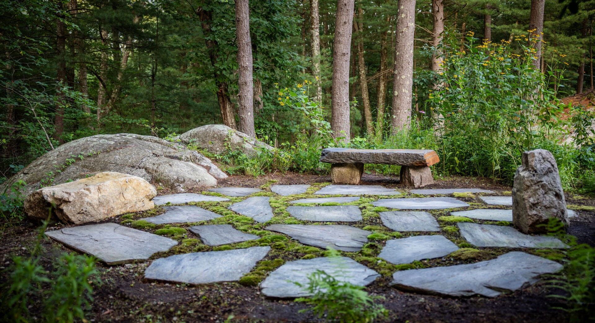 A serene forest setting with a rustic stone pathway leading to a simple wooden bench, surrounded by mature trees and lush greenery.