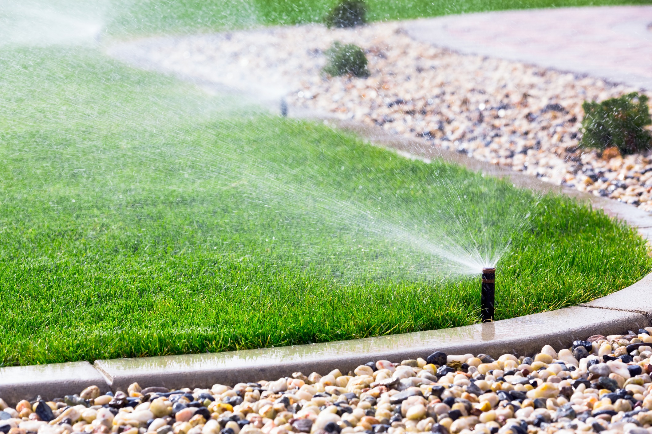 A sprinkler waters a lush green lawn beside a curb lined with multicolored pebbles. Water droplets create a misty effect in bright daylight.