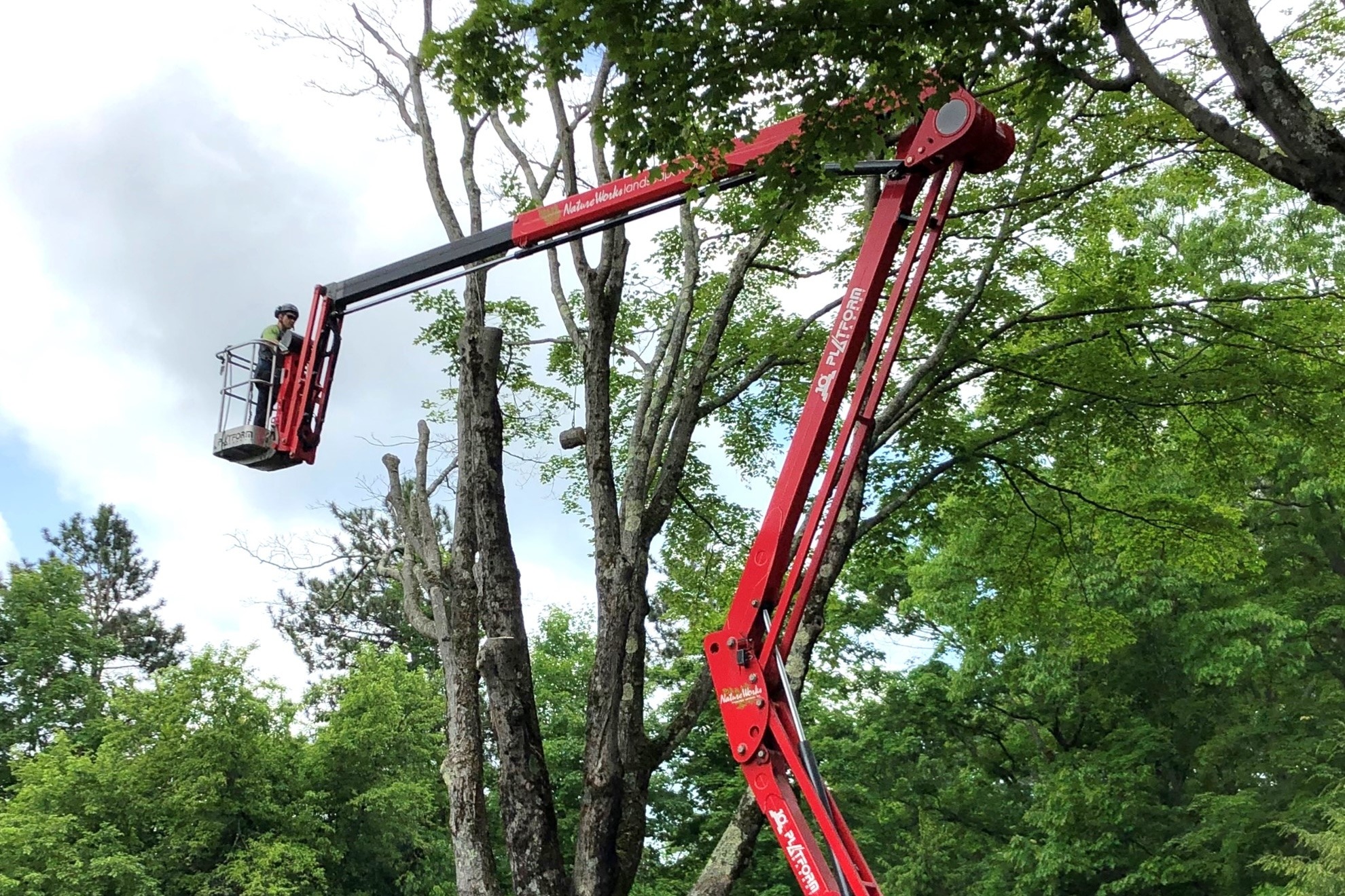 A person wearing a helmet is elevated in a red articulated boom lift among tall trees against a cloudy sky. They appear to be working outdoors.