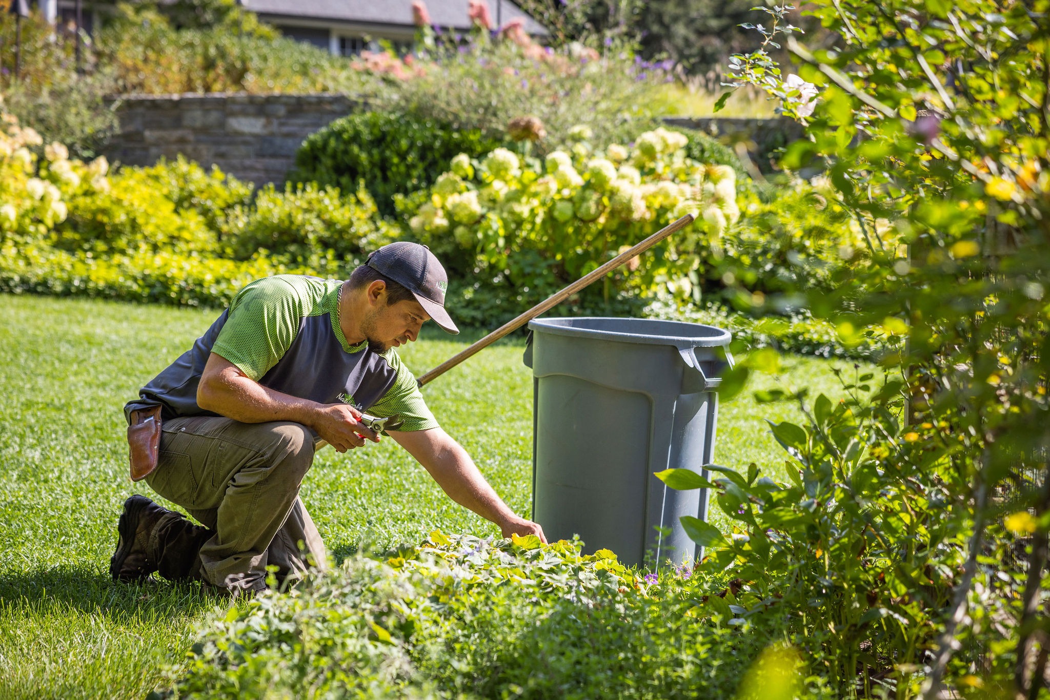 A person is pruning plants in a lush garden, kneeling beside a waste bin, surrounded by vibrant greenery under sunny skies.