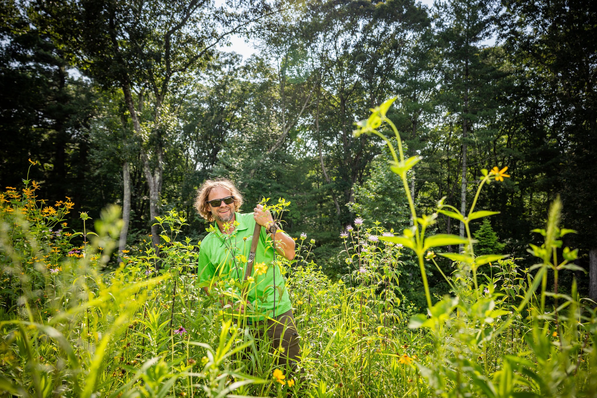 A person with sunglasses and a green shirt stands amidst tall wildflowers under a sunny, blue sky, surrounded by lush green trees.