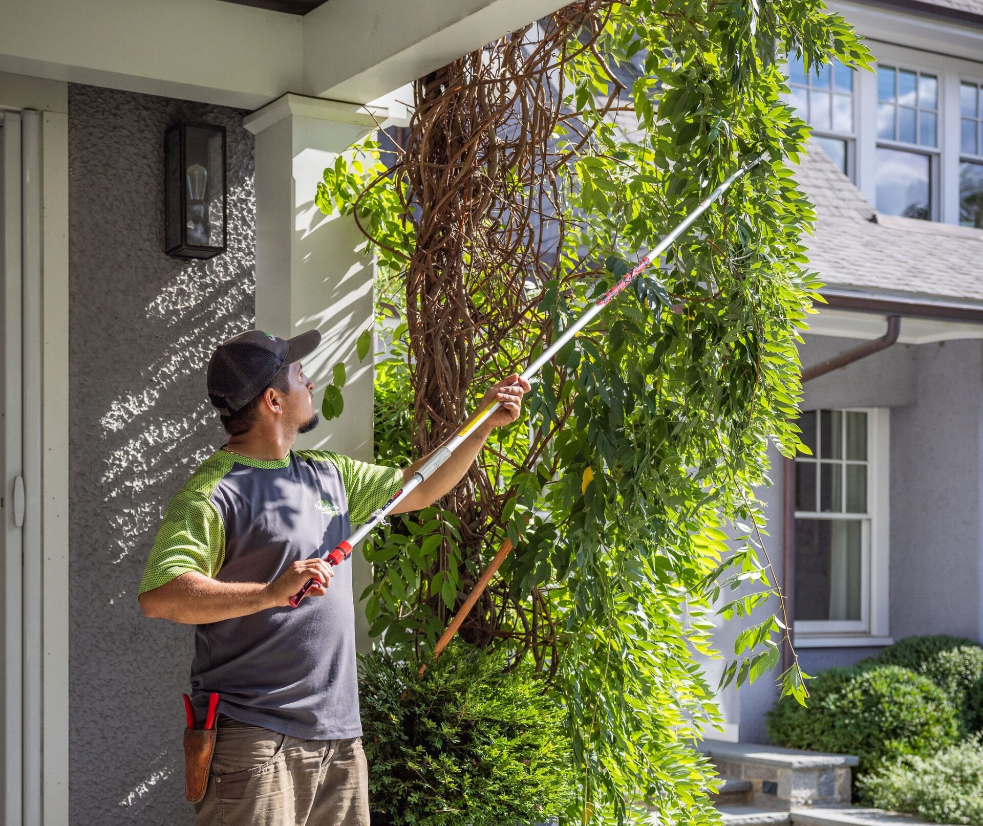 A person in a cap and casual clothing is trimming a tall shrub with long-handled pruning shears beside a house on a sunny day.