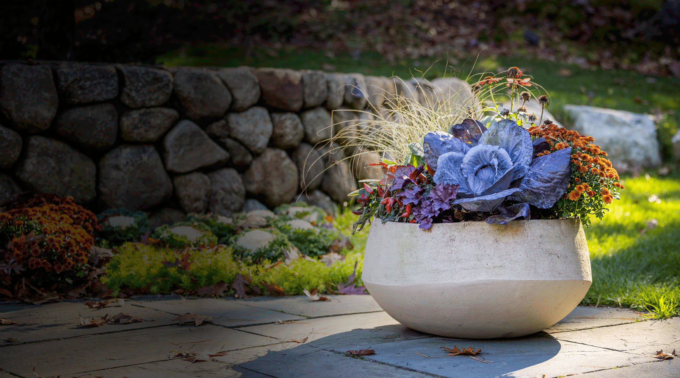 A large decorative planter with various plants sits on a paved surface near a stone retaining wall with fallen autumn leaves scattered around.