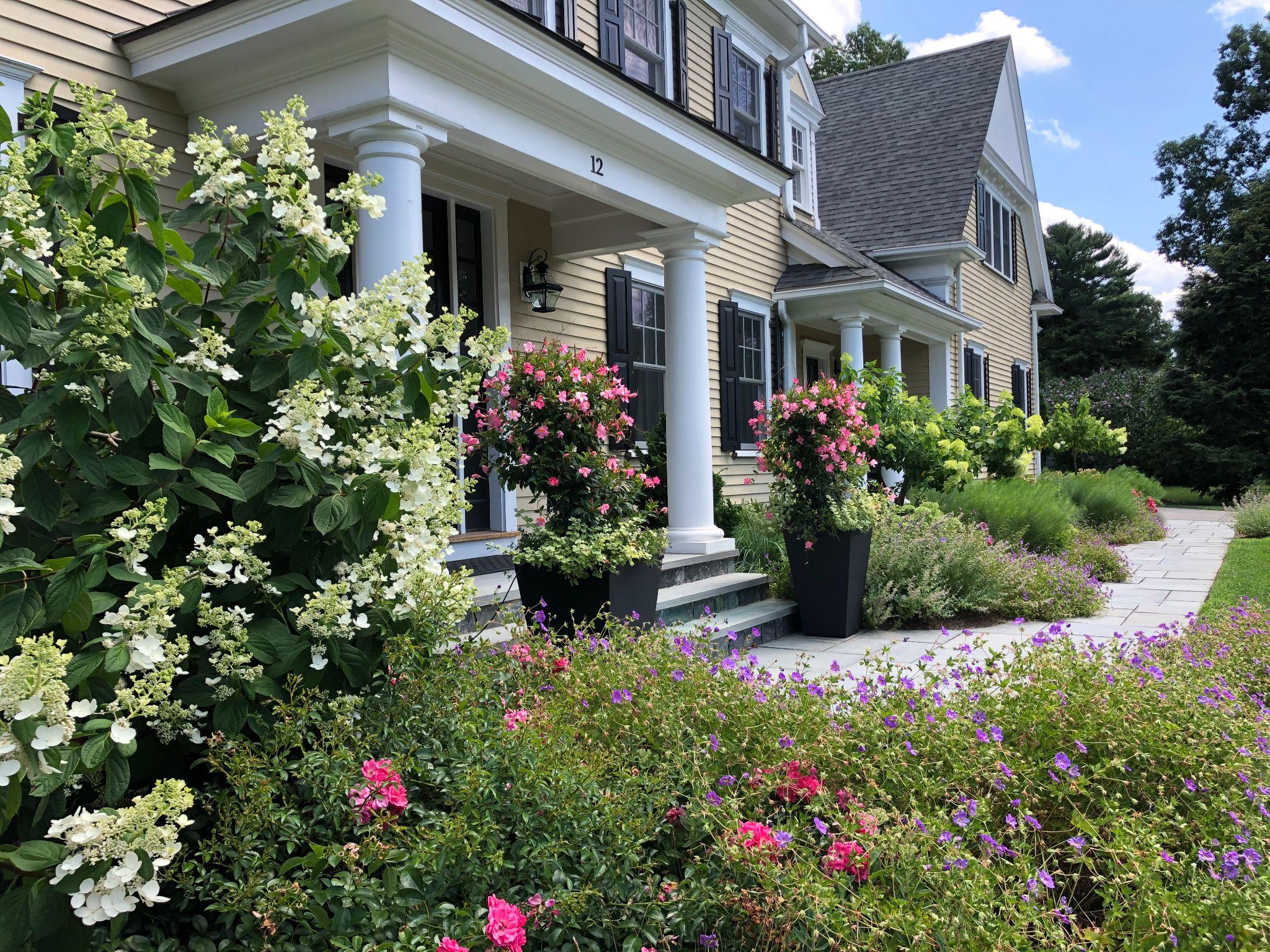 Front garden with flowering shrubs and entry planters at a classic residential home