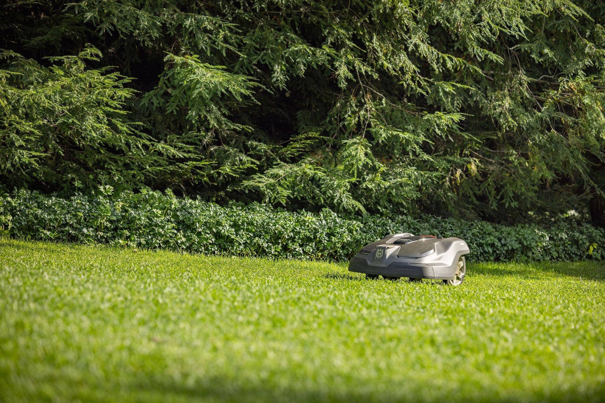 Robotic lawn mower maintaining a manicured lawn along the edge of a wooded residential property