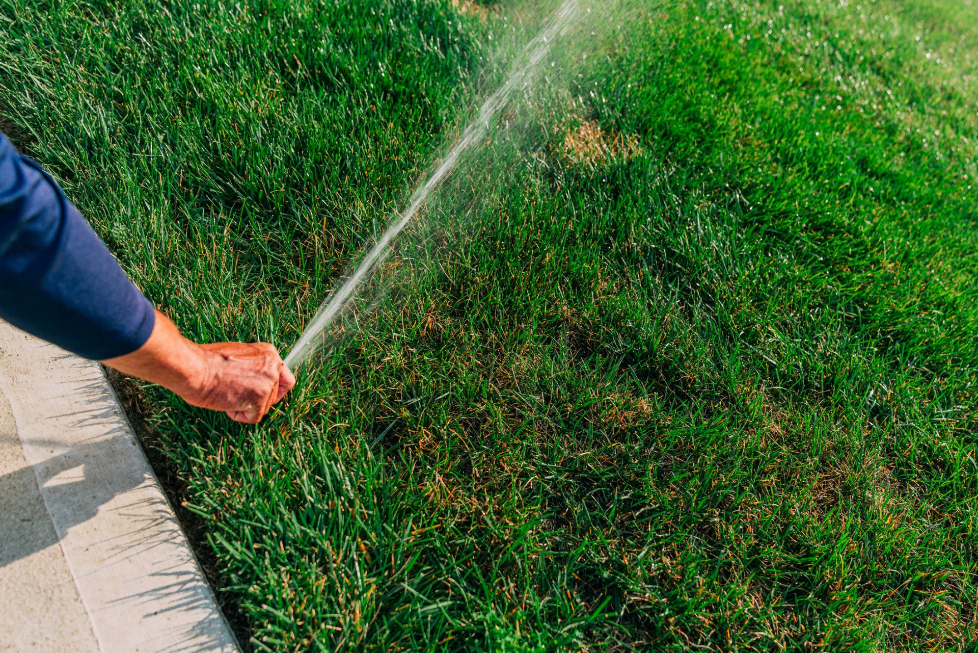 A property care professional monitoring sprinkler